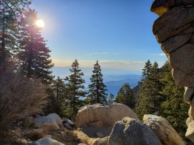 On Desert View Trail